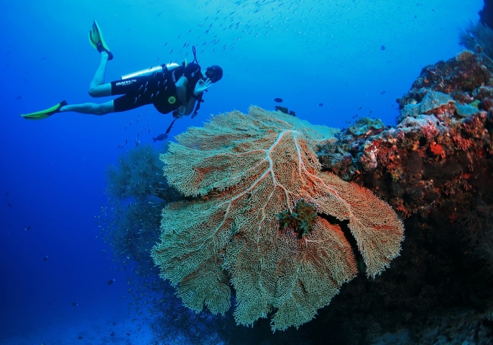 Amyra Dastur goes scuba diving in Maldives