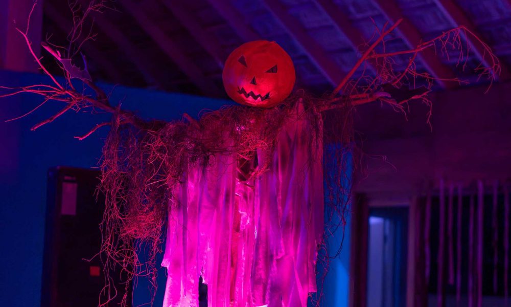 Haunted island awaits at Canareef this Halloween night