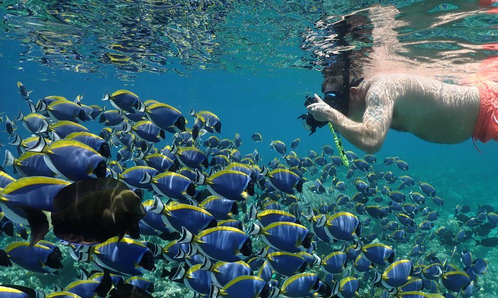 A season of discovery at Alila Kothaifaru Maldives