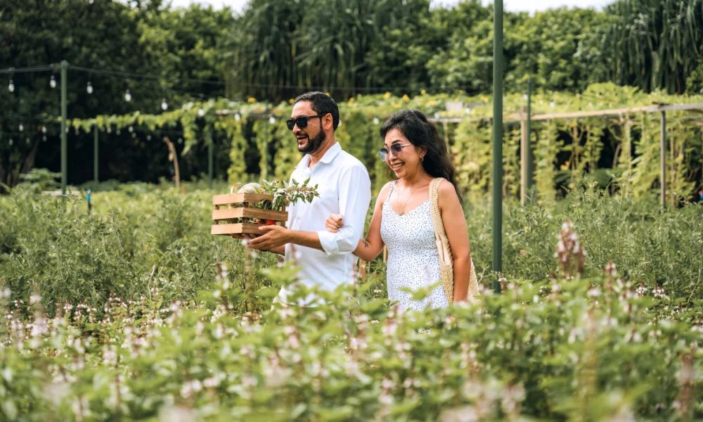 Ventive Hospitality aligns Maldives portfolio with Green Fins marine sustainability platform